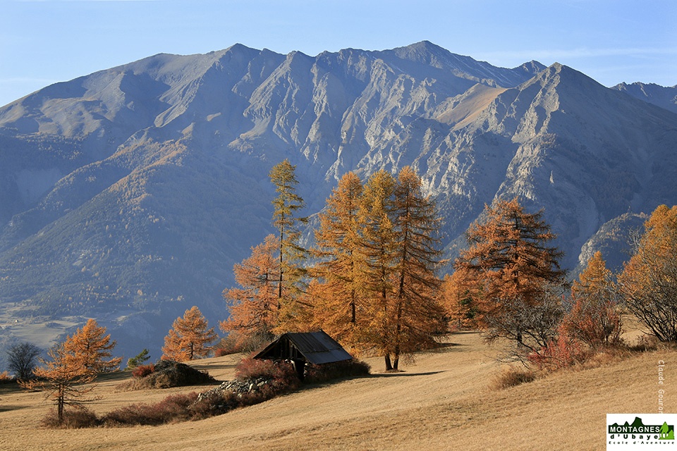Paysages d'Ubaye_1