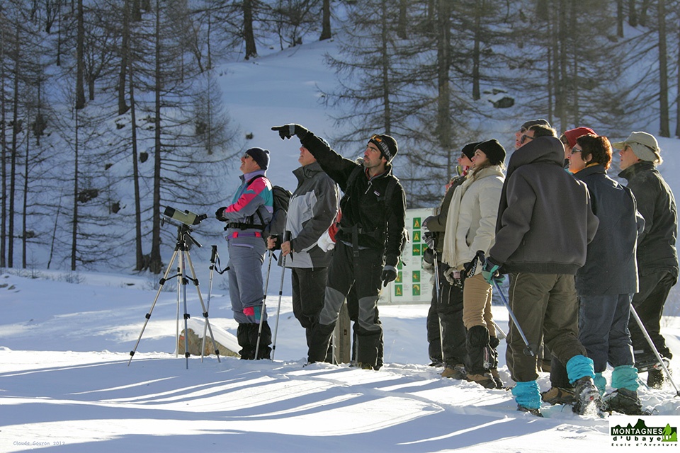 Raquettes à neige_2