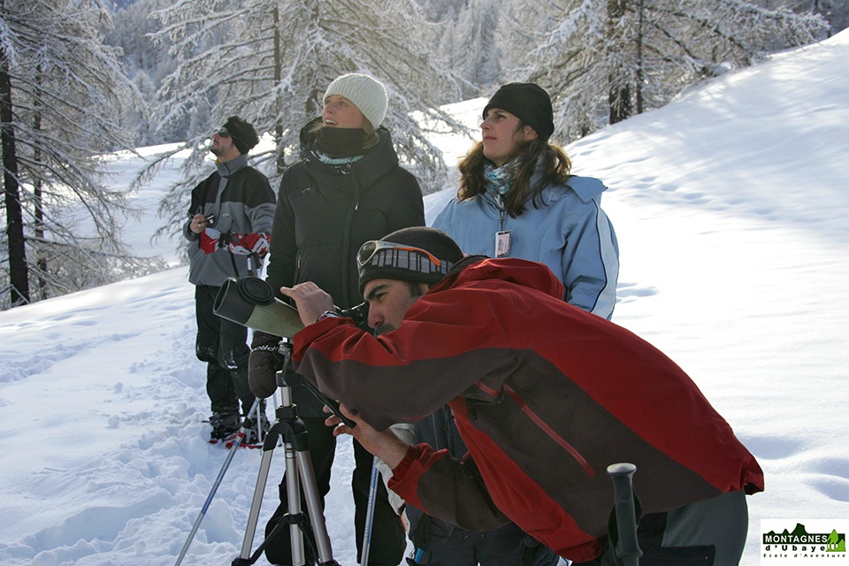 Raquettes à neige_5