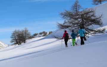 Raquettes à neige