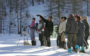 Raquettes à neige_2